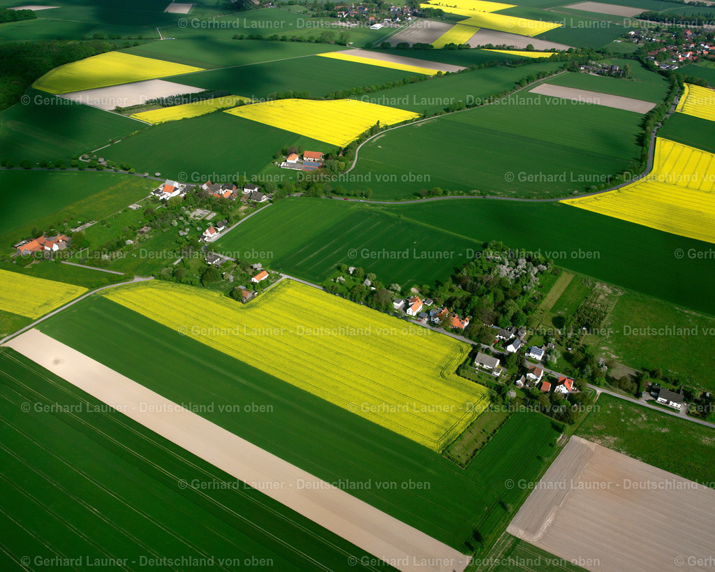 2620653 | Meiningsen, Soest