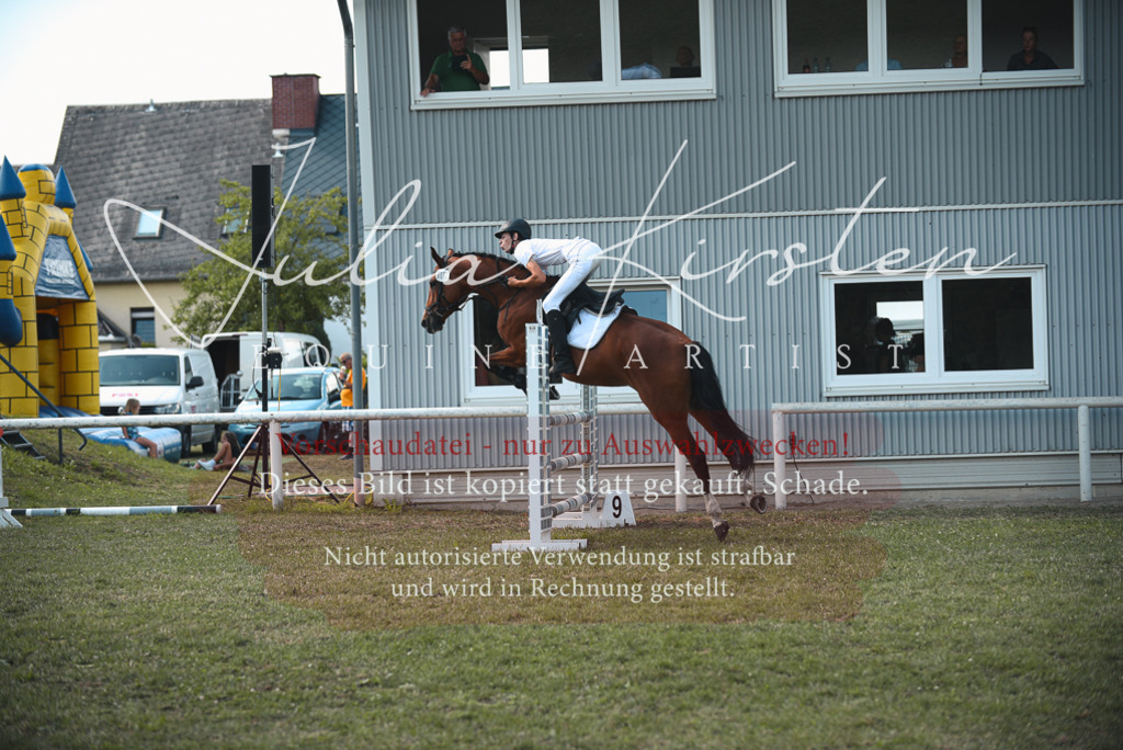 DSC_6916 | Pferde- und Turnierfotografie in Westsachsen. Pferdeportraits, Auftragszeichnungen und intuitive Kunst.