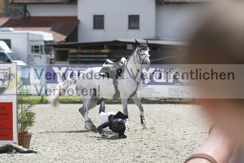 _MG_1986 | equestrian-live-com