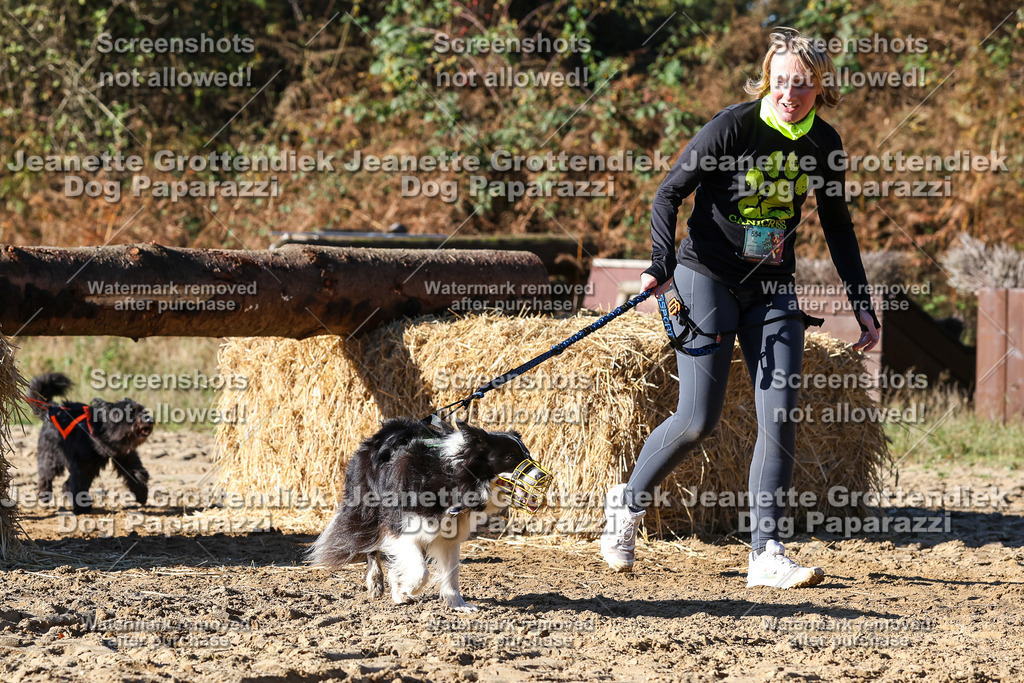 Dog Paparazzi - Strongdog 10-25-2258 | Dog Paparazzi Jeanette Grottendiek Fotografie & Videografie - Realisiert mit Pictrs.com