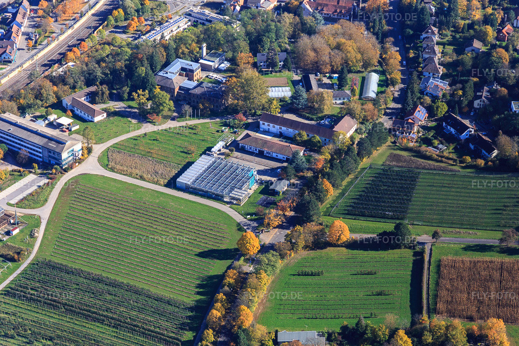 Luftbild: Gewächshäuser des Landwirtschaftliches Technologiezentrum (LTZ) Augustenberg im Ortsteil Durlach in Karlsruhe im Bundesland Baden-Württemberg in Deutschland. Foto: IMG_129866.jpg vom 24.10.2021 durch Werner Riehm/FLY-FOTO.deSuchen