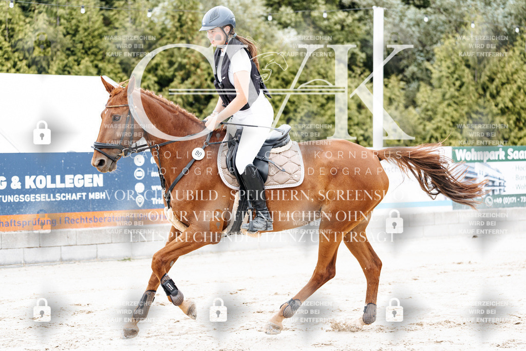 CK907879 | Turnierfotografie Pferdefotografie Trier Rheinland-Pfalz Pferdesport Reitsport Tierfotografie Sportfotografie Pferdevideo Pferdevideografie Equestrianvideography equestrianphotography  - Realisiert mit Pictrs.com