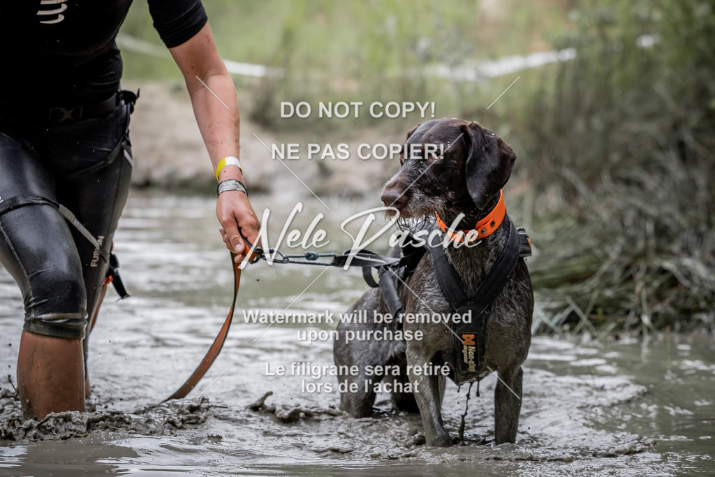 nelerasche_so0800-0930_352 | nelerasche