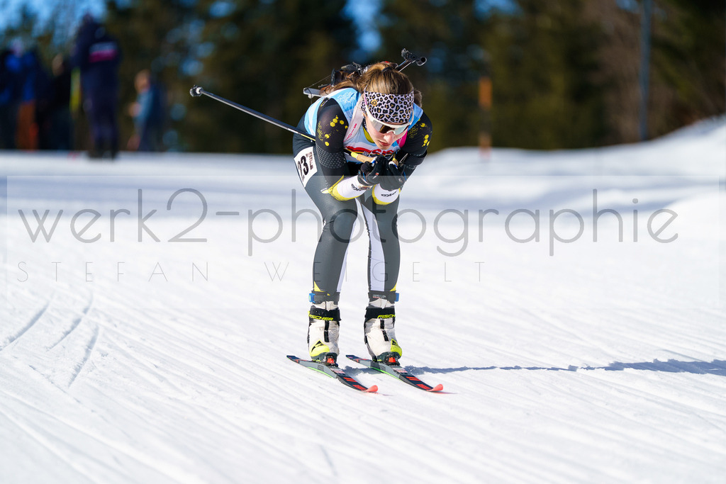FESA Alpencup / DP Notschrei | Deutschland Pokal Finale im Schwarzwald NORDIC-CENTER Notschrei am 7. - 8. Februar 2026