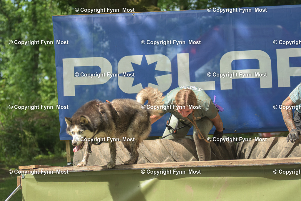DSC_0774 | Hallo und herzlich Willkommen auf meiner Shop-Seite Fynn Most.

Ich wünsche Dir viel Spaß beim stöbern durch die Bilder, wenn Du Fragen hast oder Bilder vermisst, kannst du mir gerne eine Nachricht schreiben. - Realisiert mit Pictrs.com