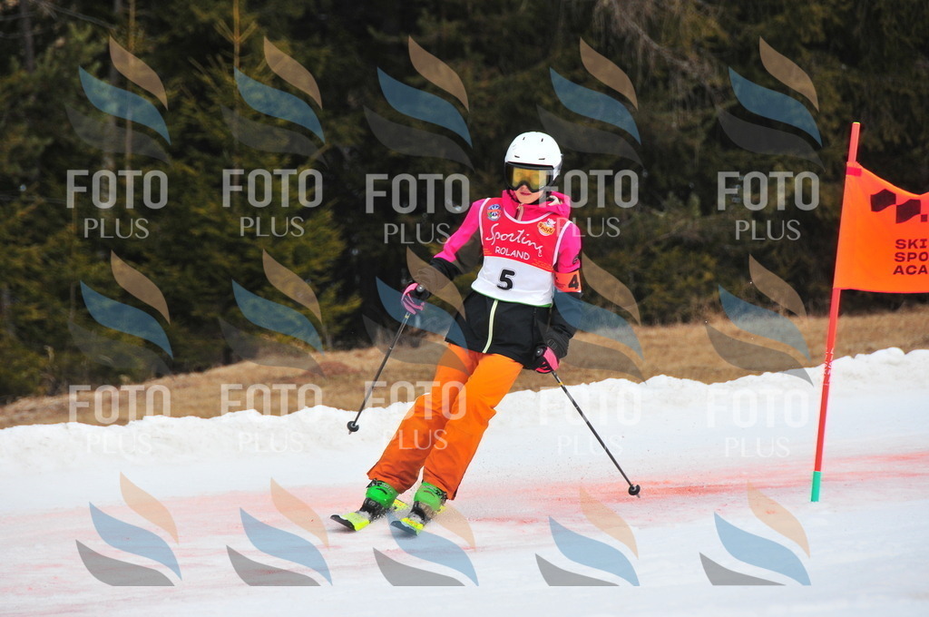 C0943 | holidayphoto