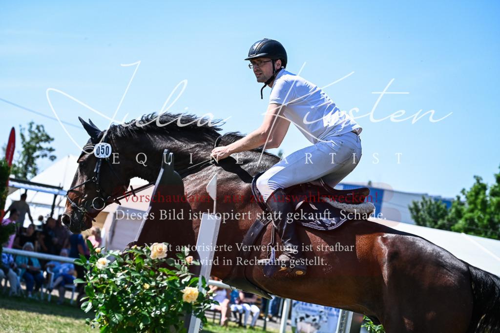 DSC_1236 | Pferde- und Turnierfotografie in Westsachsen. Pferdeportraits, Auftragszeichnungen und intuitive Kunst.