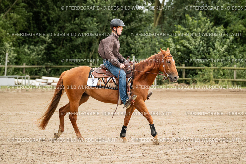 DSC04792 | Pferdegrafie