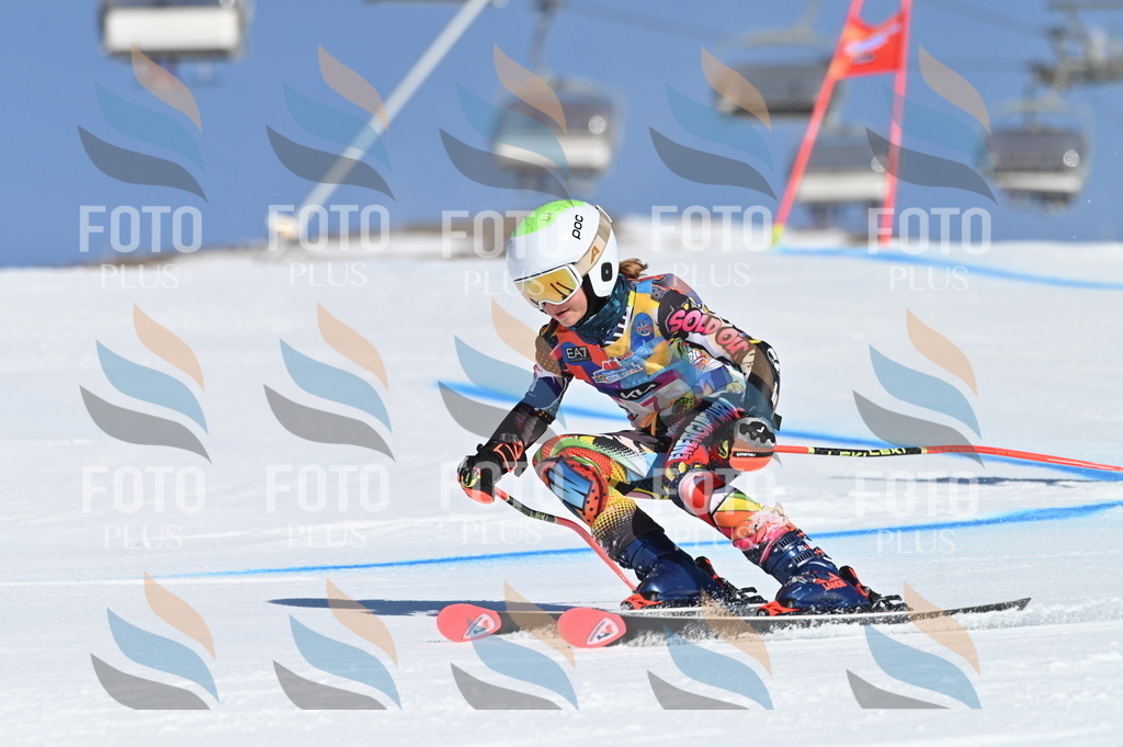 BGV_7694 | holidayphoto