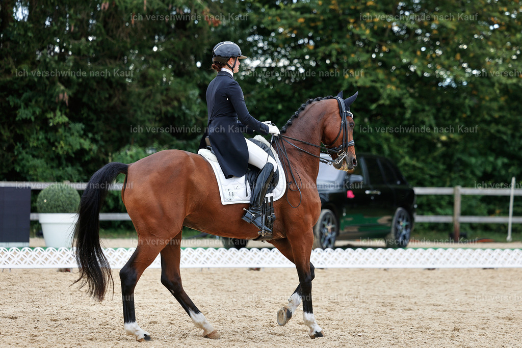 11-048-Dressur S___-StoibPH-1406 | working equitationturnier fotograf videograf stoibphotography marixx film working equitation deutschland reitsport turnierfotografie eventfotografie equestrian events