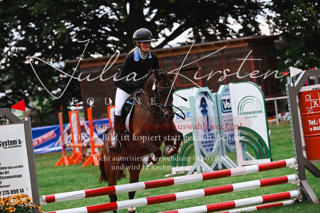 DSC_6171 | Pferde- und Turnierfotografie in Westsachsen. Pferdeportraits, Auftragszeichnungen und intuitive Kunst.