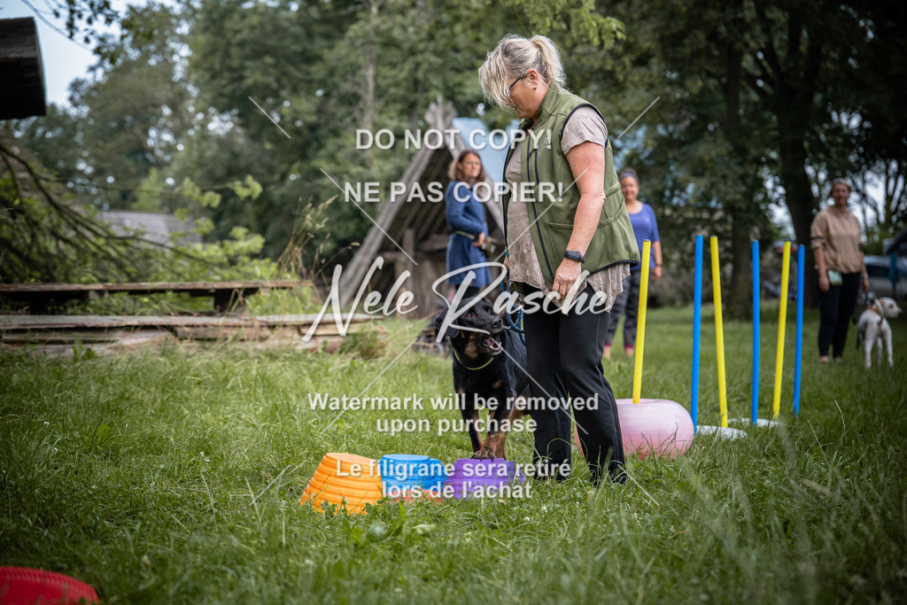 nelerasche_SoEarlyDog_59 | nelerasche