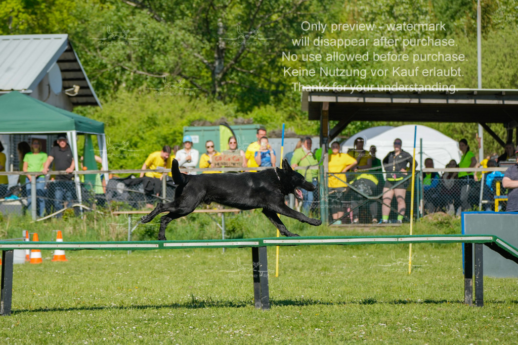 Sa_CSC-72 | stephaniefillaphotographie - Realisiert mit Pictrs.com