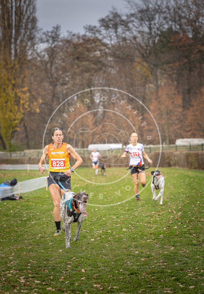 CaniXpix_DV3A6252 | Hundefotografie, Tierfotograf, Pfotenfotografie, Fotoshooting Hund, Hunde Portrait, Hundesport, Hundeportraits, Heideshooting, Hunde, Sportfotograf, Hundefotograf, Turnierhundsport, THS,  - Realisiert mit Pictrs.com
