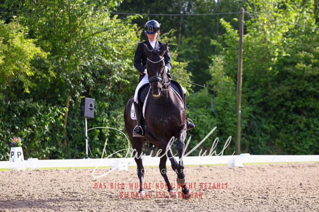 DKP41743 | Deine Turnierfotos vom Reitturnier online kaufen: Dressur, Springen & Siegerehrung. Professionelle Pferdefotografie aus dem Rheinland – als Download & Print.Alternative: Turnierfotograf für den Pferdesport: Finde deine Fotos von Dressur- und Springturnier