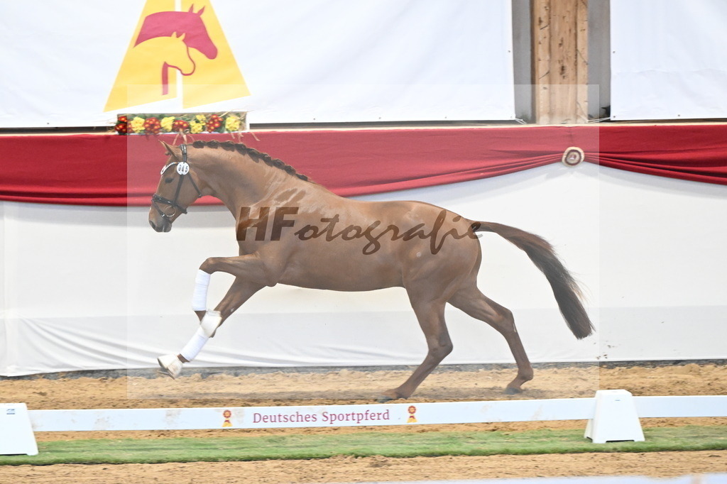 Kat.-Nr. 45 v. Escanto PS_De Vittorio und Stechele_3260377 | hf-fotografie - Realisiert mit Pictrs.com