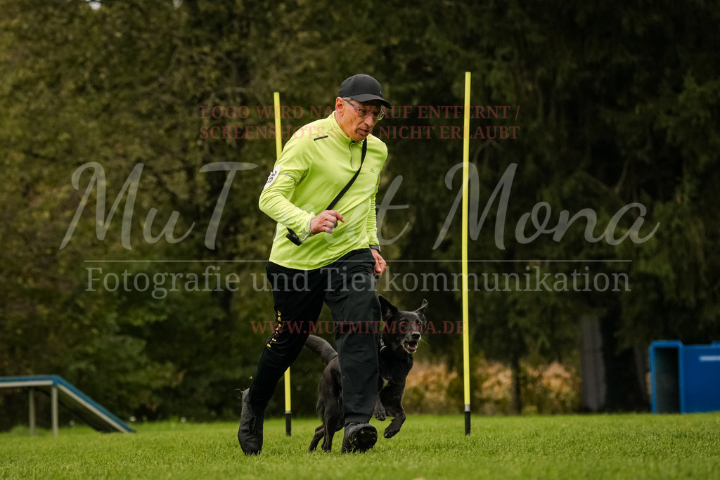 20251005_THS_Turnier-449 | MuT (Mensch und Tier) mit Mona - Fotografie und Tierkommunikation - Realisiert mit Pictrs.com