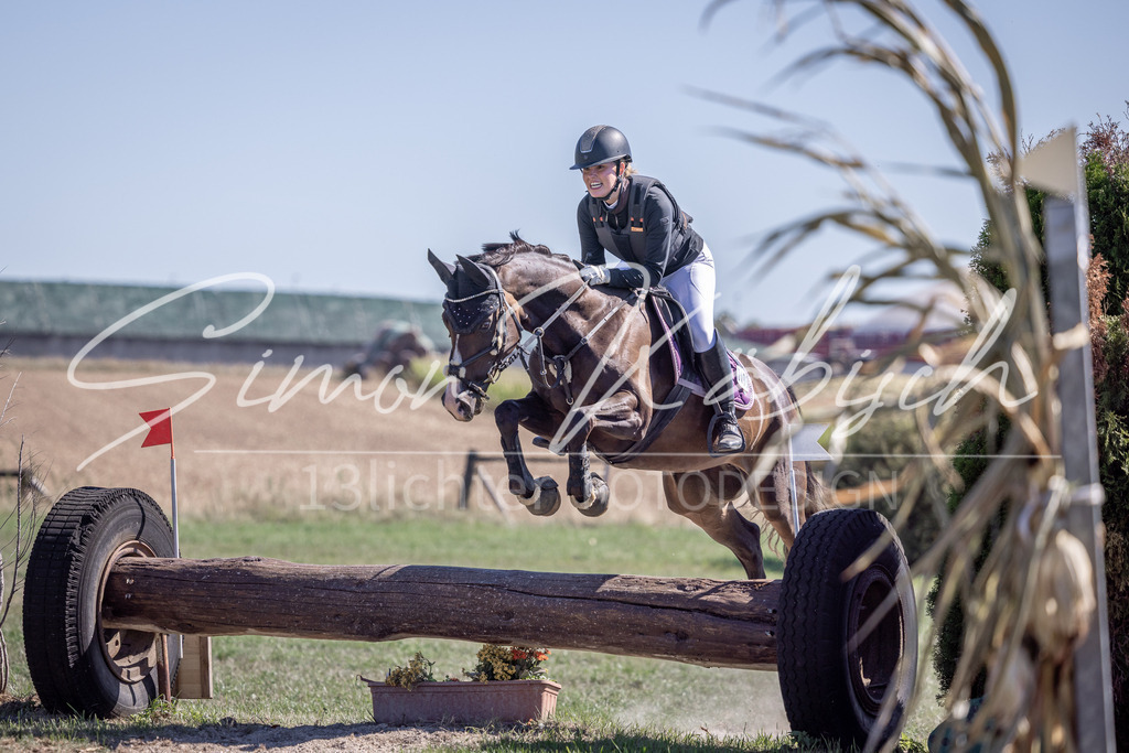 20260906-_3LI3286 | Tierfotografie Pferde, Hunde, Katzen, Haustiere.
Turnierfotografie Reitturniere, Reiten, Springreiten, Dressur in Hanau, dem Main-Kinzig-Kreis und dem Rhein-Main- Gebiet um Frankfurt