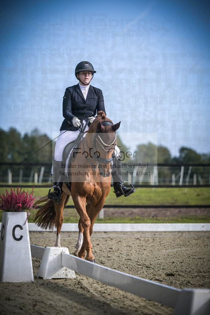 DOS_1183 | Entdecke hochwertige Reitturnierfotos von Foto Oger. Professionell, emotional und authentisch – jetzt Lieblingsmomente im Shop bestellen.Deutschlandweite Turnierfotografie. - Realisiert mit Pictrs.com