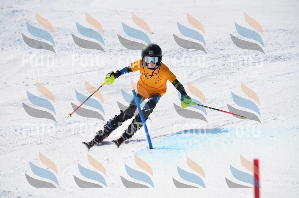 C8720 | holidayphoto