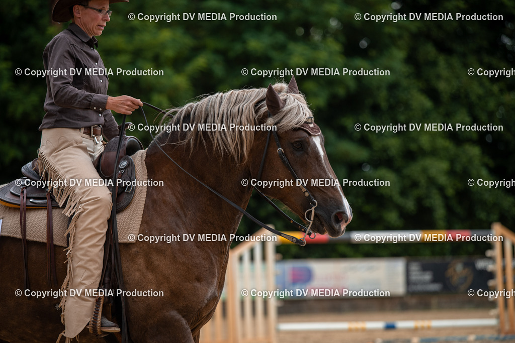 ZS2_7883 | dv-media-shop - Realisiert mit Pictrs.com