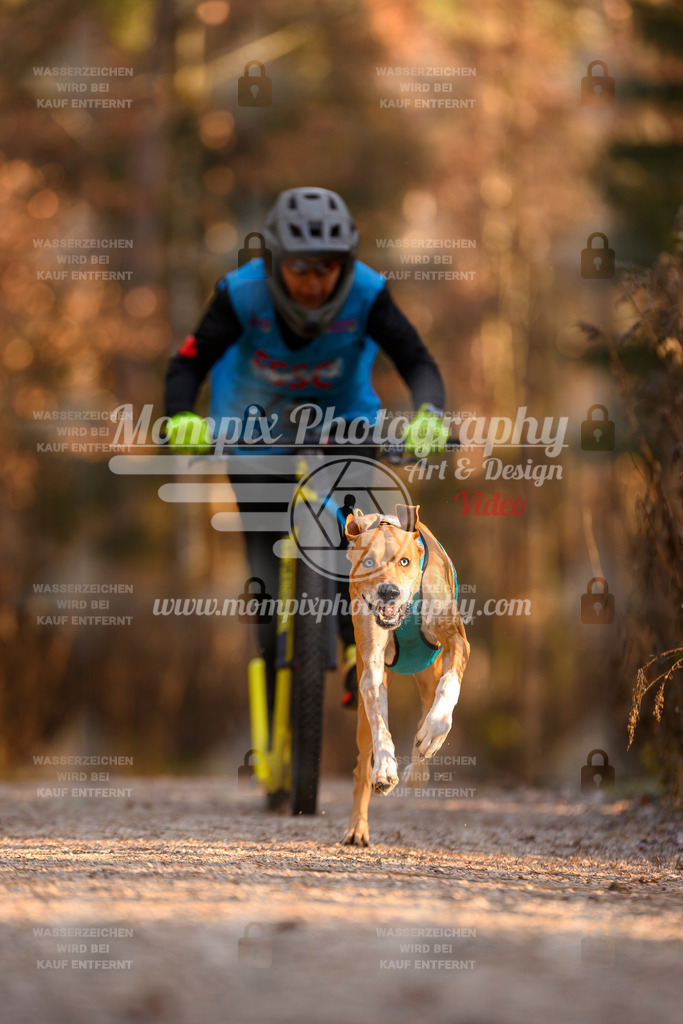 MompixPhotography_DM_AKDM_SO_2025_Scooter-148 | PayLife