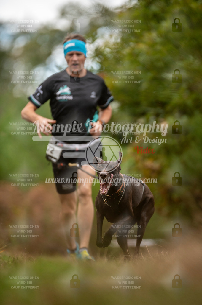 TSB_2023_E5_Canicross-27 | PayLife