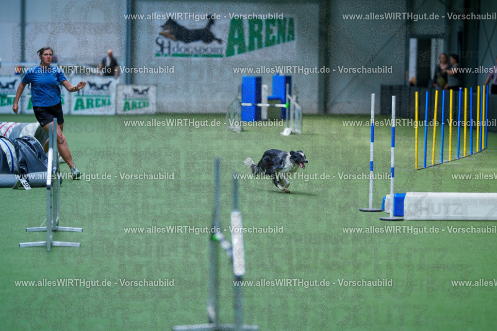 @allesWIRTHgut_Tierfotografie - www.allesWIRTHgut.de - 2604261359-7R503142 | Professionelle Tierfotografie in Mönchengladbach von Daniel Wirth (allesWIRTHgut). Liebevolle & natürliche Bilder von Hunden & Katzen für unvergessliche Erinnerungen.