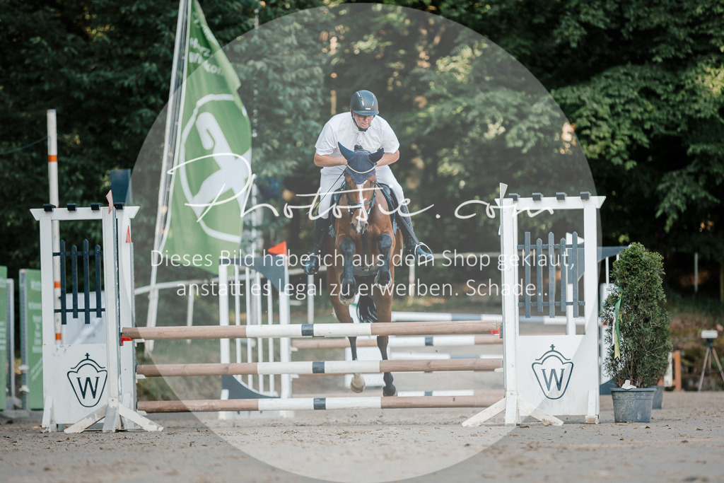 3I6A6198 | Stimmungsvolle Portraits und Reitsportfotografie im Ruhrgebiet und im Münsterland.

Pferdefotografie, Hundefotografie, Tierfotografie, Reportagen, Portraits von Tier und Mensch, Turnierfotografie in Bochum, Recklinghausen, Marl, Haltern am See, Dülmen.. - Realisiert mit Pictrs.com