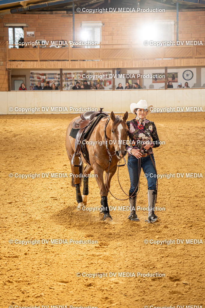 MIT01367 | dv-media-shop - Realisiert mit Pictrs.com