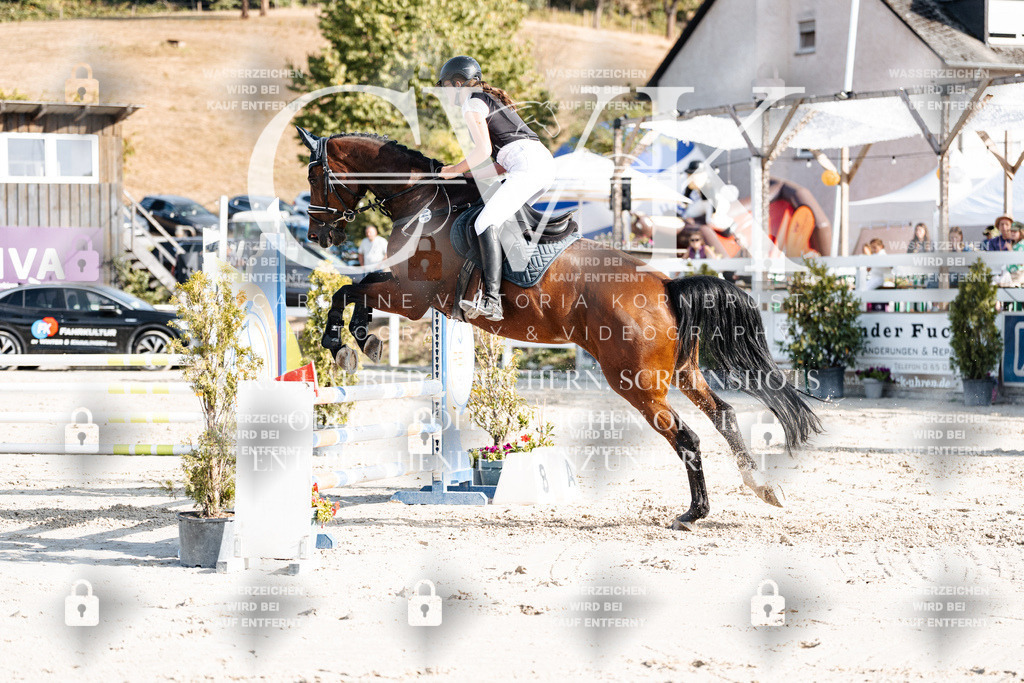 CK909533 | Turnierfotografie Pferdefotografie Trier Rheinland-Pfalz Pferdesport Reitsport Tierfotografie Sportfotografie Pferdevideo Pferdevideografie Equestrianvideography equestrianphotography  - Realisiert mit Pictrs.com