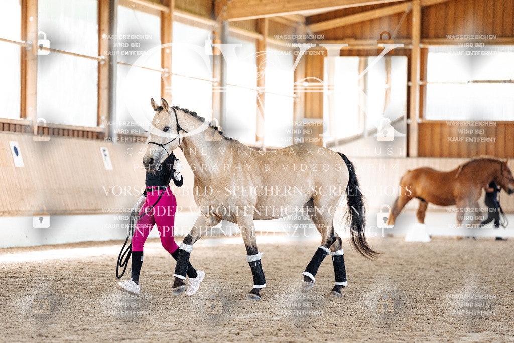 CK907164 | Turnierfotografie Pferdefotografie Trier Rheinland-Pfalz Pferdesport Reitsport Tierfotografie Sportfotografie Pferdevideo Pferdevideografie Equestrianvideography equestrianphotography  - Realized with Pictrs.com