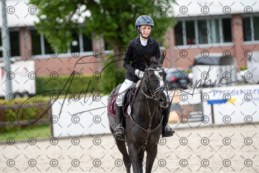 KPT_6204 | andre_photographic