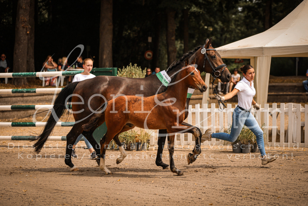 SaPA00015 | Leoni Ertmer Photography - Realisiert mit Pictrs.com