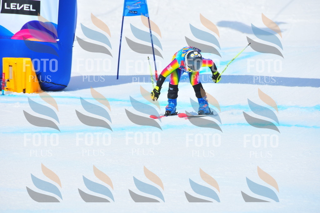 DSC_6775 | holidayphoto