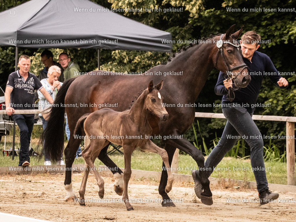 A10I3494 15.58.10 | photographylinaismer - Realisiert mit Pictrs.com