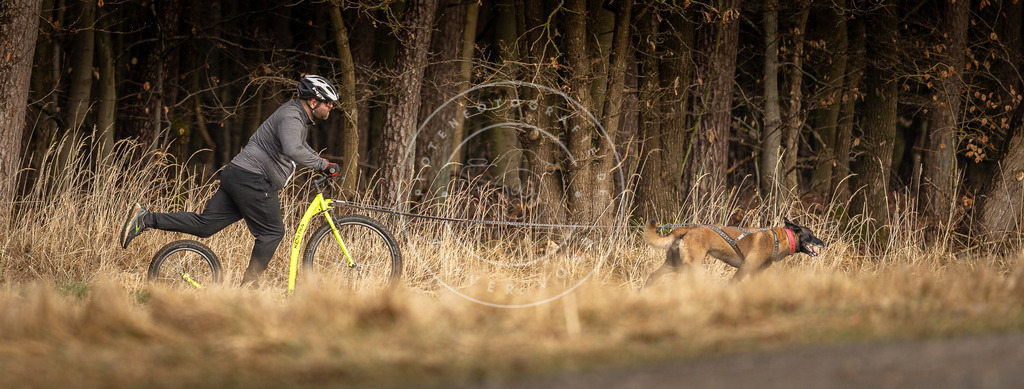 DV3A3586 | Hundefotografie, Tierfotograf, Pfotenfotografie, Fotoshooting Hund, Hunde Portrait, Hundesport, Hundeportraits, Heideshooting, Hunde, Sportfotograf, Hundefotograf, Turnierhundsport, THS,  - Realisiert mit Pictrs.com