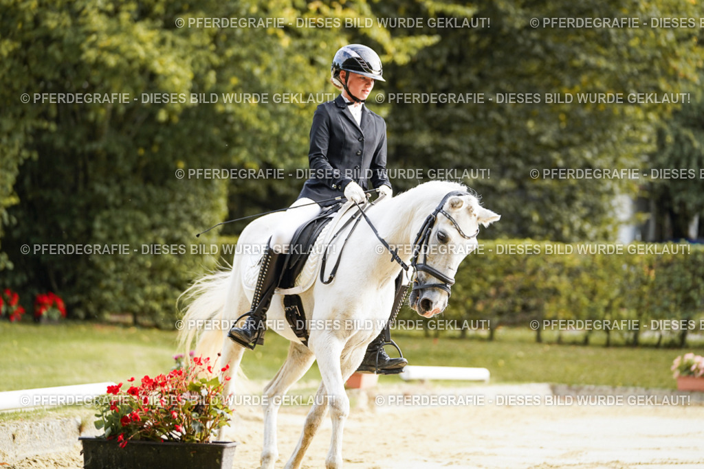 DSC05462 | Pferdegrafie