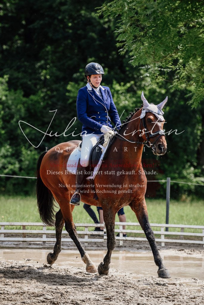 DSC_1175 | Pferde- und Turnierfotografie in Westsachsen. Pferdeportraits, Auftragszeichnungen und intuitive Kunst.