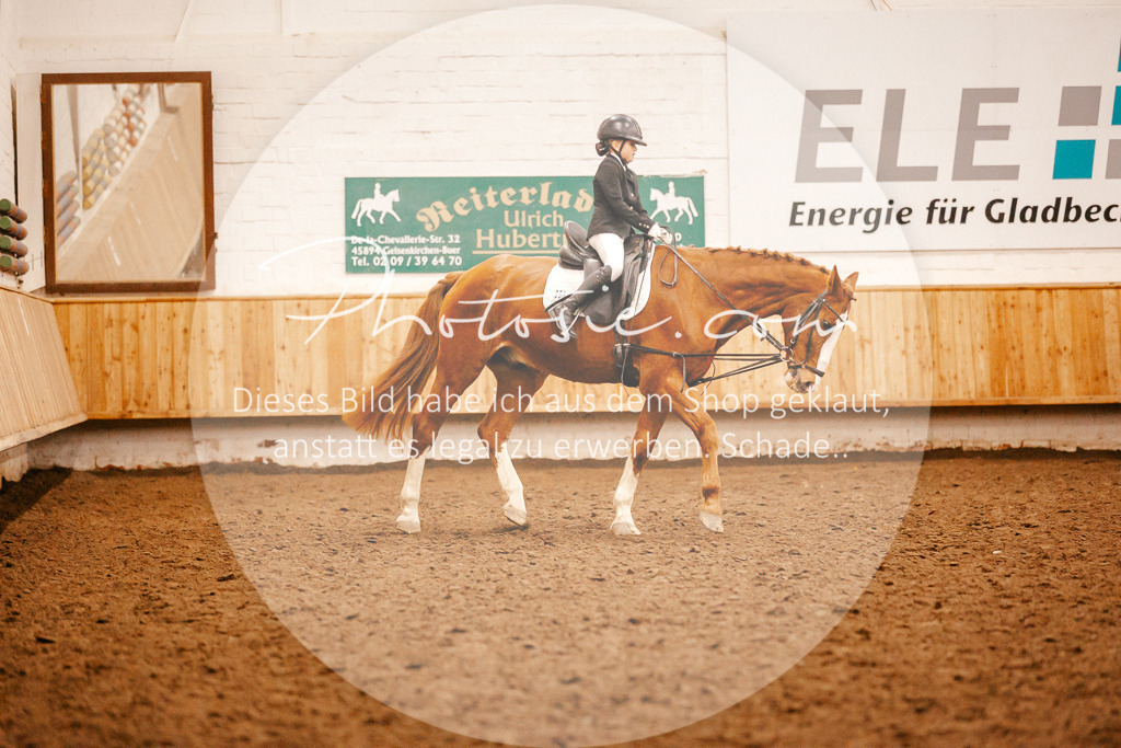 3I6A3545 | Stimmungsvolle Portraits und Reitsportfotografie im Ruhrgebiet und im Münsterland.

Pferdefotografie, Hundefotografie, Tierfotografie, Reportagen, Portraits von Tier und Mensch, Turnierfotografie in Bochum, Recklinghausen, Marl, Haltern am See, Dülmen.. - Realisiert mit Pictrs.com