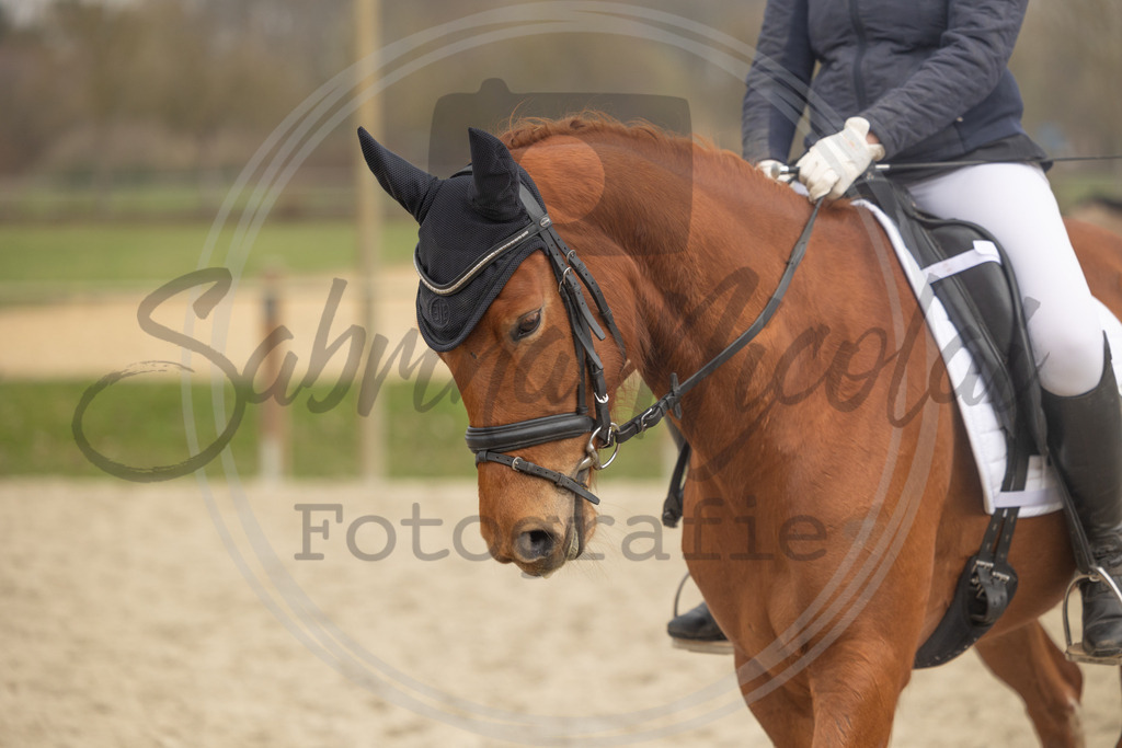 994A9328 | sabrinanicolaifotografie - Realisiert mit Pictrs.com