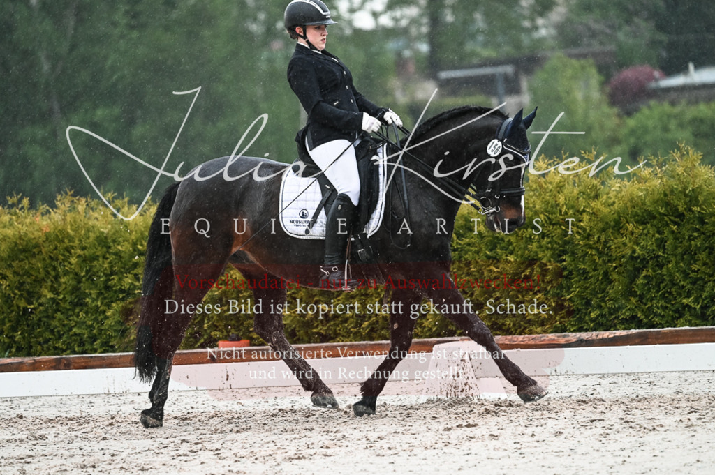 DSC_4658 | Pferde- und Turnierfotografie in Westsachsen. Pferdeportraits, Auftragszeichnungen und intuitive Kunst.