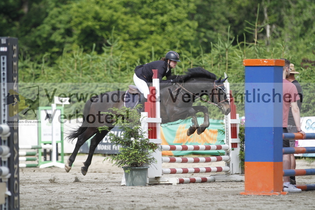_MG_4537 | equestrian-live-com