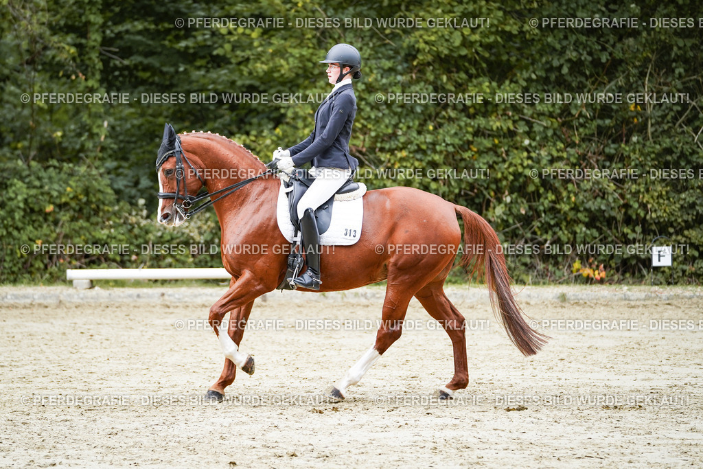 DSC00860 | Pferdegrafie