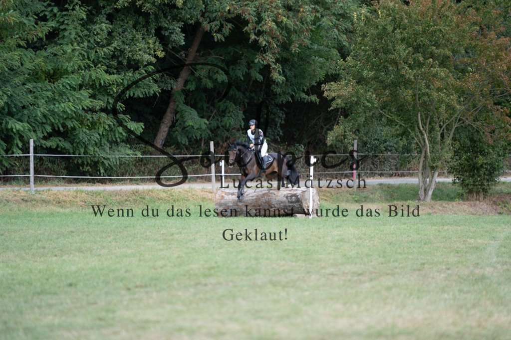 A7V01031 | Pferdefotograf