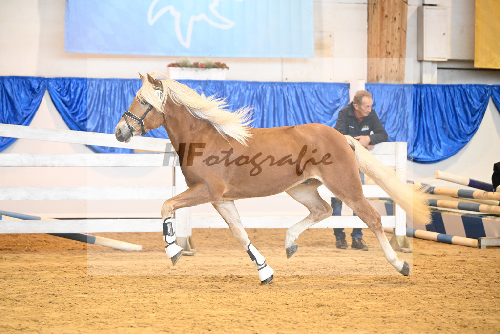 Kat-Nr. 18 Alois v. Amari_Reisberger_60220278 | hf-fotografie - Realisiert mit Pictrs.com