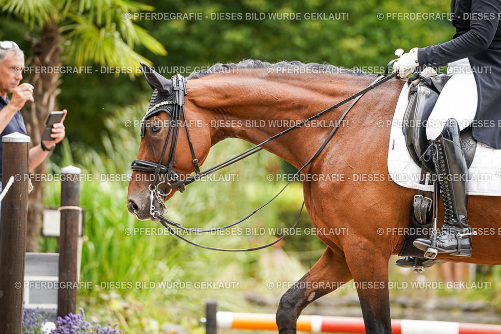 DSC07334 | Pferdegrafie