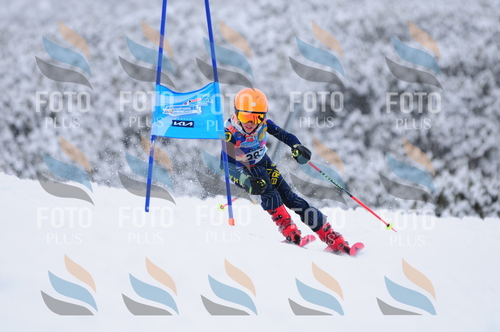 C3014 | holidayphoto