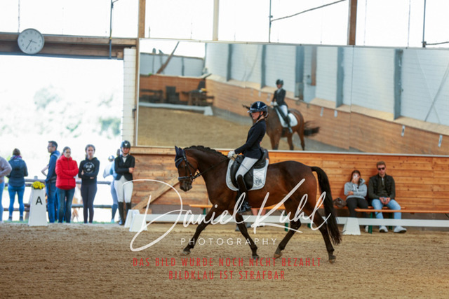 _62_7395 | Turniersportfotografie; Pferdefotografie; Dressurfotografie