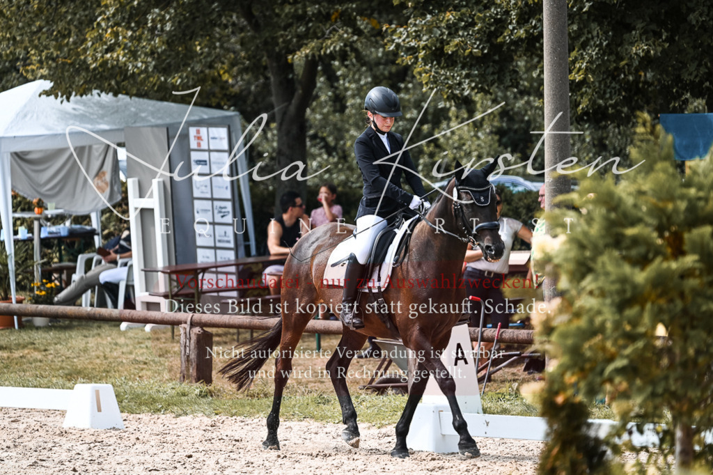 DSC_5270 | Pferde- und Turnierfotografie in Westsachsen. Pferdeportraits, Auftragszeichnungen und intuitive Kunst.